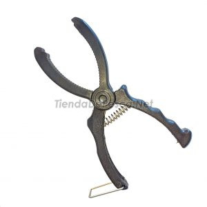 Pinza